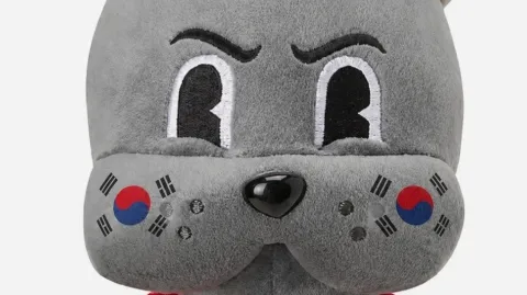 정모 대표 이미지