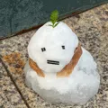 member face