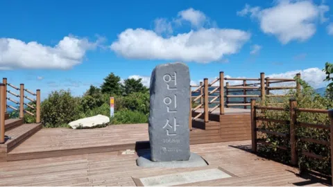 정모 대표 이미지