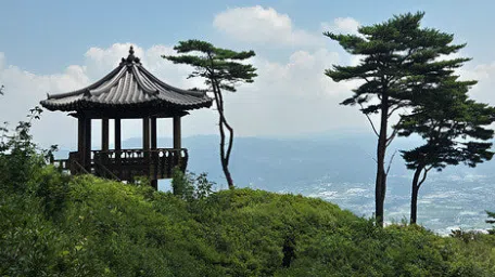 정모 대표 이미지