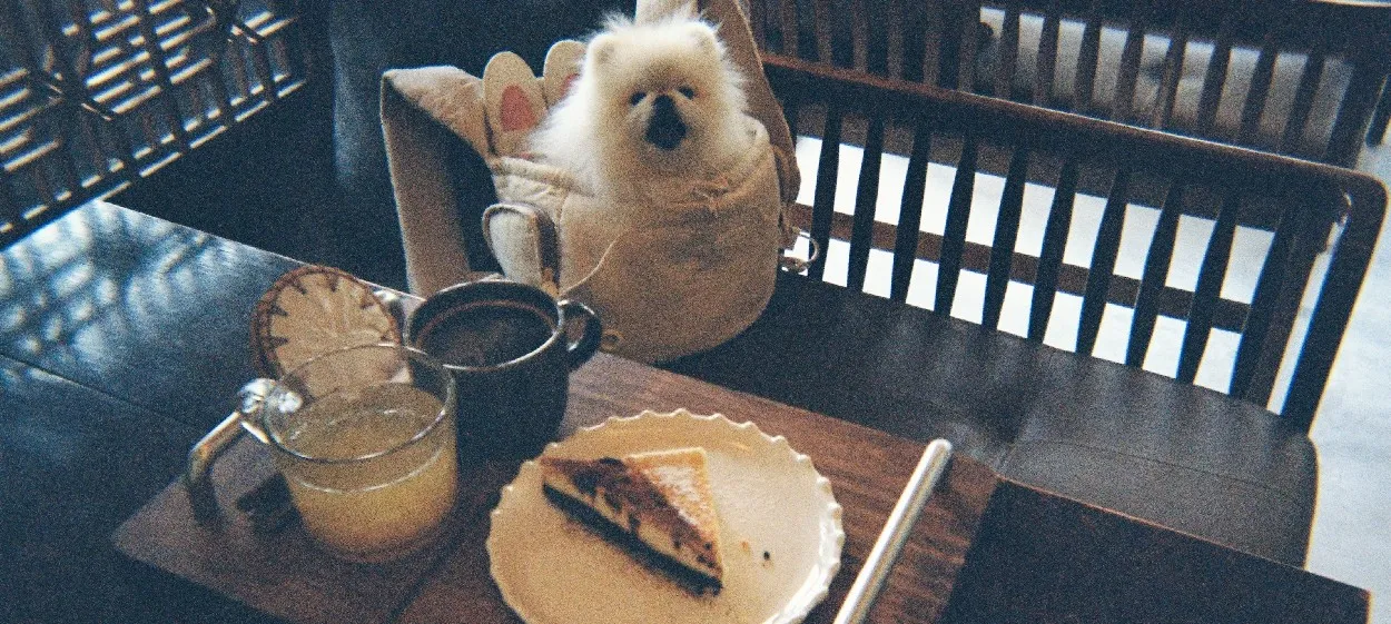 모임 이미지 1