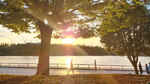 정모 대표 이미지