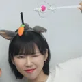 member face
