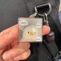 member face
