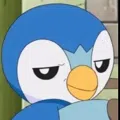 member face