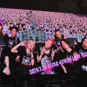 member face