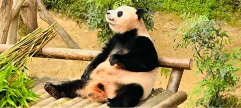 모임 대표 이미지
