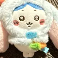 member face