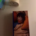 member face