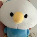member face