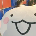 member face