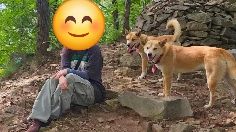 정모 대표 이미지