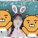 member face