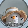 member face