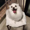 member face
