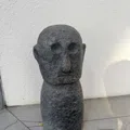 member face