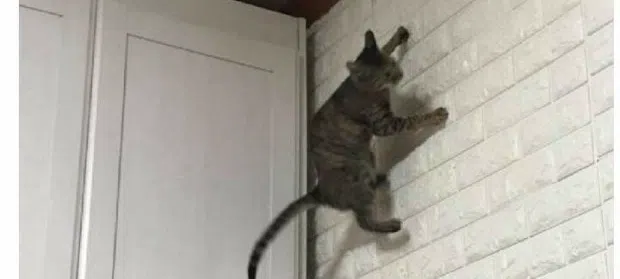 모임 이미지 1