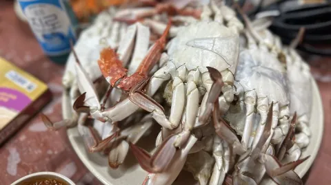 정모 대표 이미지