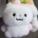 member face