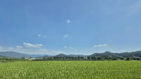 정모 대표 이미지
