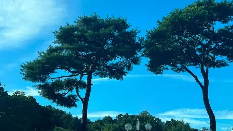 정모 대표 이미지