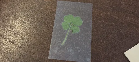 모임 대표 이미지