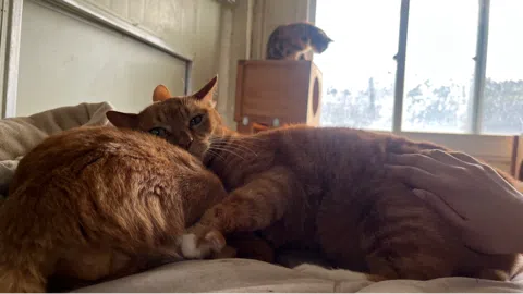 정모 대표 이미지