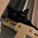member face