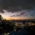 member face