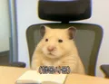 member face