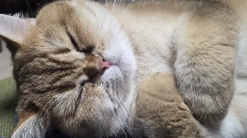 정모 대표 이미지