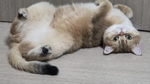 정모 대표 이미지
