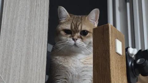 정모 대표 이미지