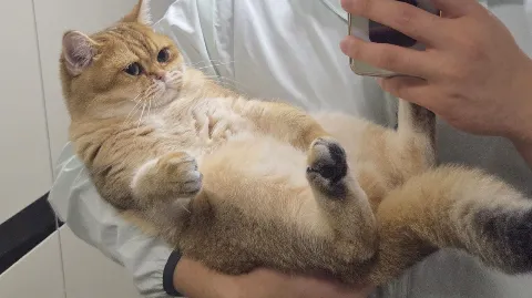 정모 대표 이미지