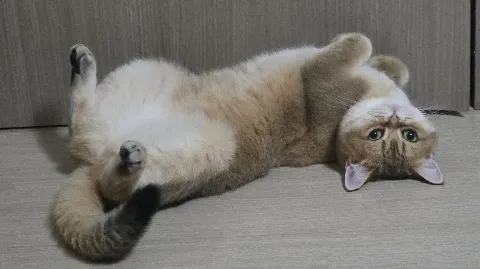 정모 대표 이미지