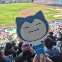member face