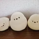member face
