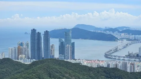 정모 대표 이미지