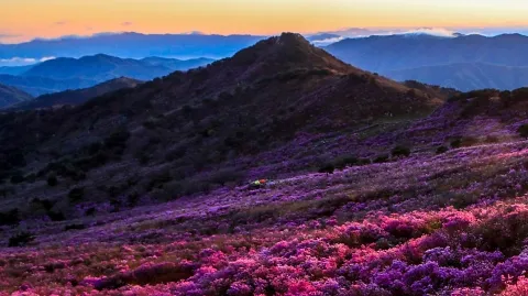 정모 대표 이미지