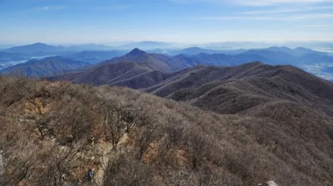 정모 대표 이미지