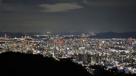 정모 대표 이미지
