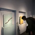 member face