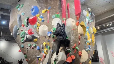 정모 대표 이미지