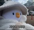 member face