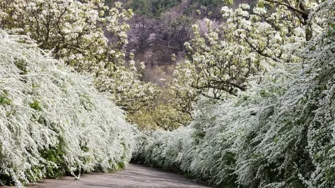 정모 대표 이미지