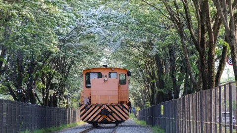 정모 대표 이미지