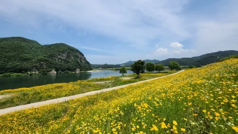정모 대표 이미지