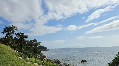 정모 대표 이미지