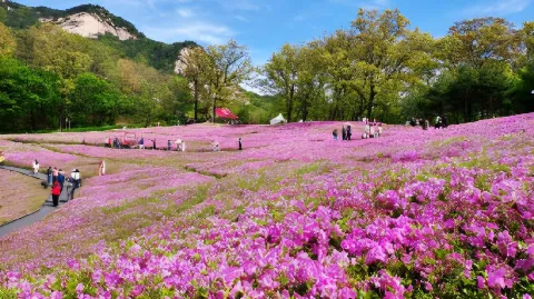 정모 대표 이미지
