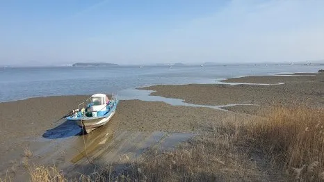 정모 대표 이미지